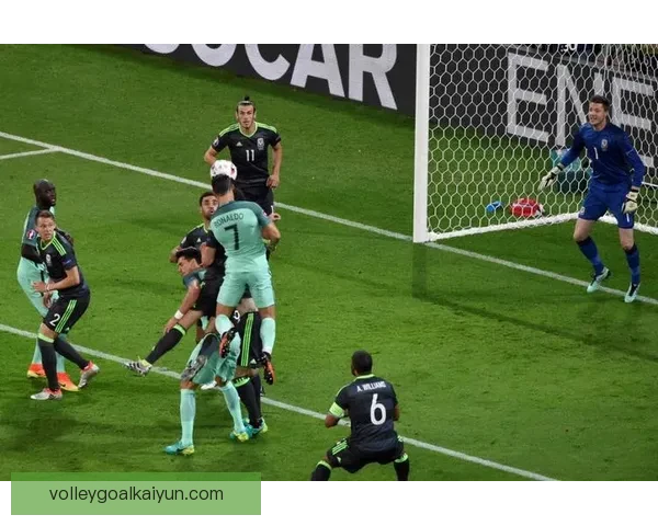 葡萄牙球迷热情高涨，期待国家队在接下来的赛事中展现实力