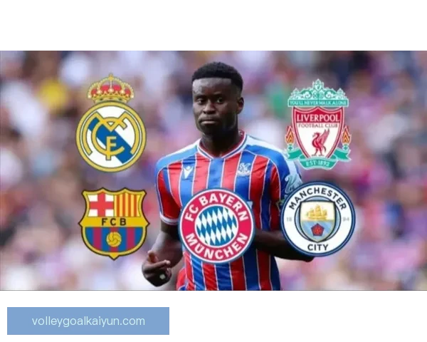 水晶宫转会策略分析：球队阵容优化与竞争力增强趋势明显