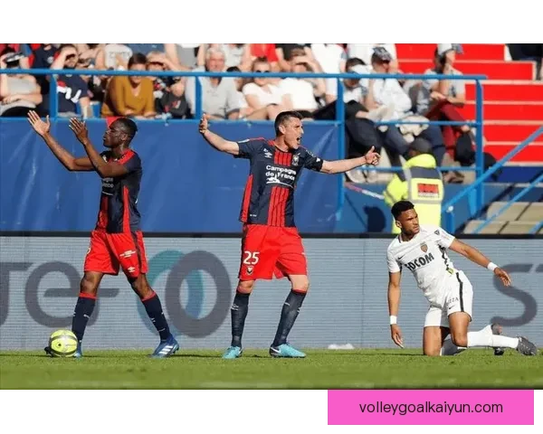 蒙彼利埃近期比赛亮点分析，团队表现稳健值得关注