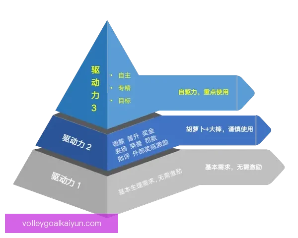 埃里克森风格分析：组织核心作用与比赛节奏掌控能力解析